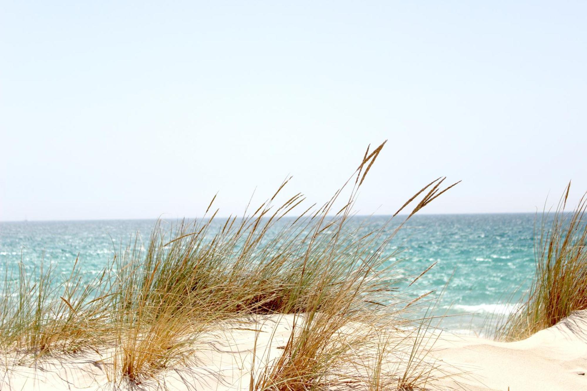 Ocean Sands Beach Inn (Adults Only) St. Augustine Exteriér fotografie
