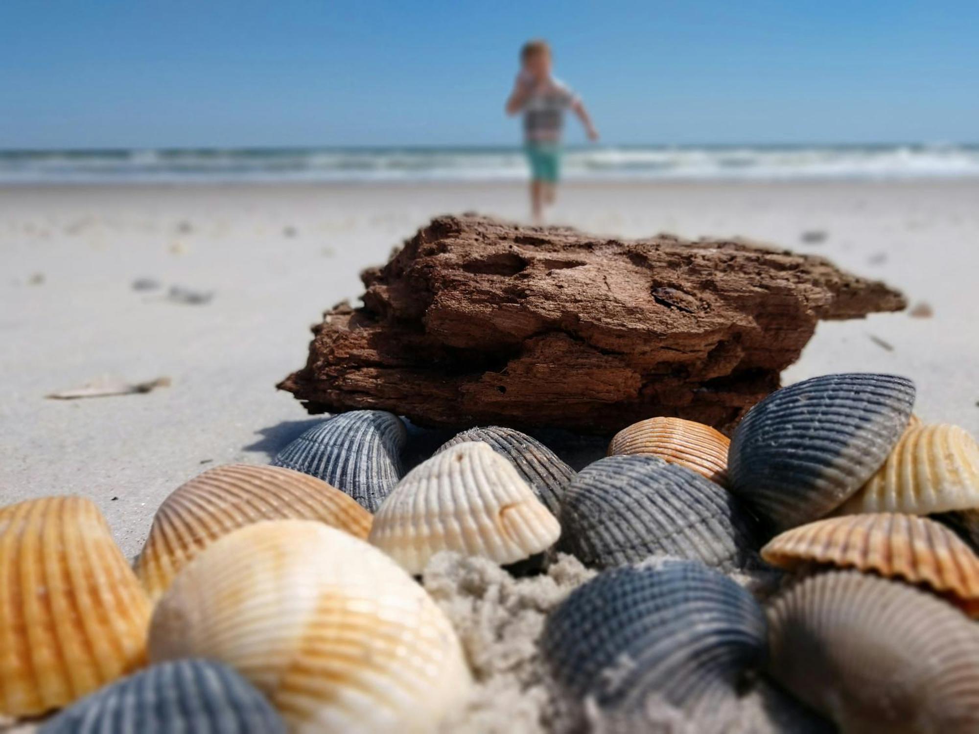 Ocean Sands Beach Inn (Adults Only) St. Augustine Exteriér fotografie